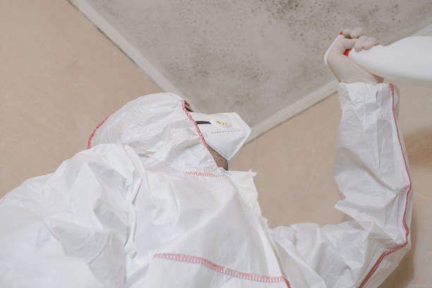 Best Mold Remediation for Vacation Homes  in Middle Valley, TN